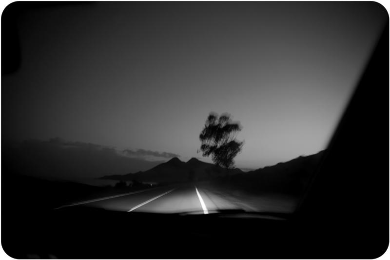 Lumina (51)