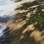 Connie Westendorp, Atardecer en primavera con hojas verdes en el Mar Caribe, 2015, técnicas mixtas y óleo sobre lienzo, 50 x 70 cm.p.v.p: 600 € + IVA = 726 €