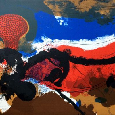 Guinovart, Josep Guinovart, obra gráfica, graphic work, comprar, litography